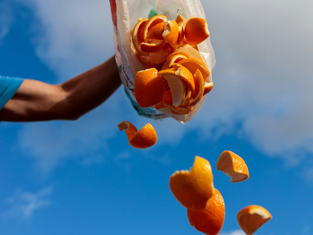 감귤박 업사이클링, 버려지는 자원의 재발견