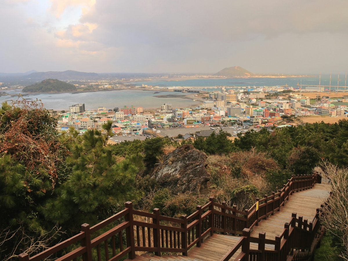 제주의 봄, 감귤꽃 향이 피어오르는 계절