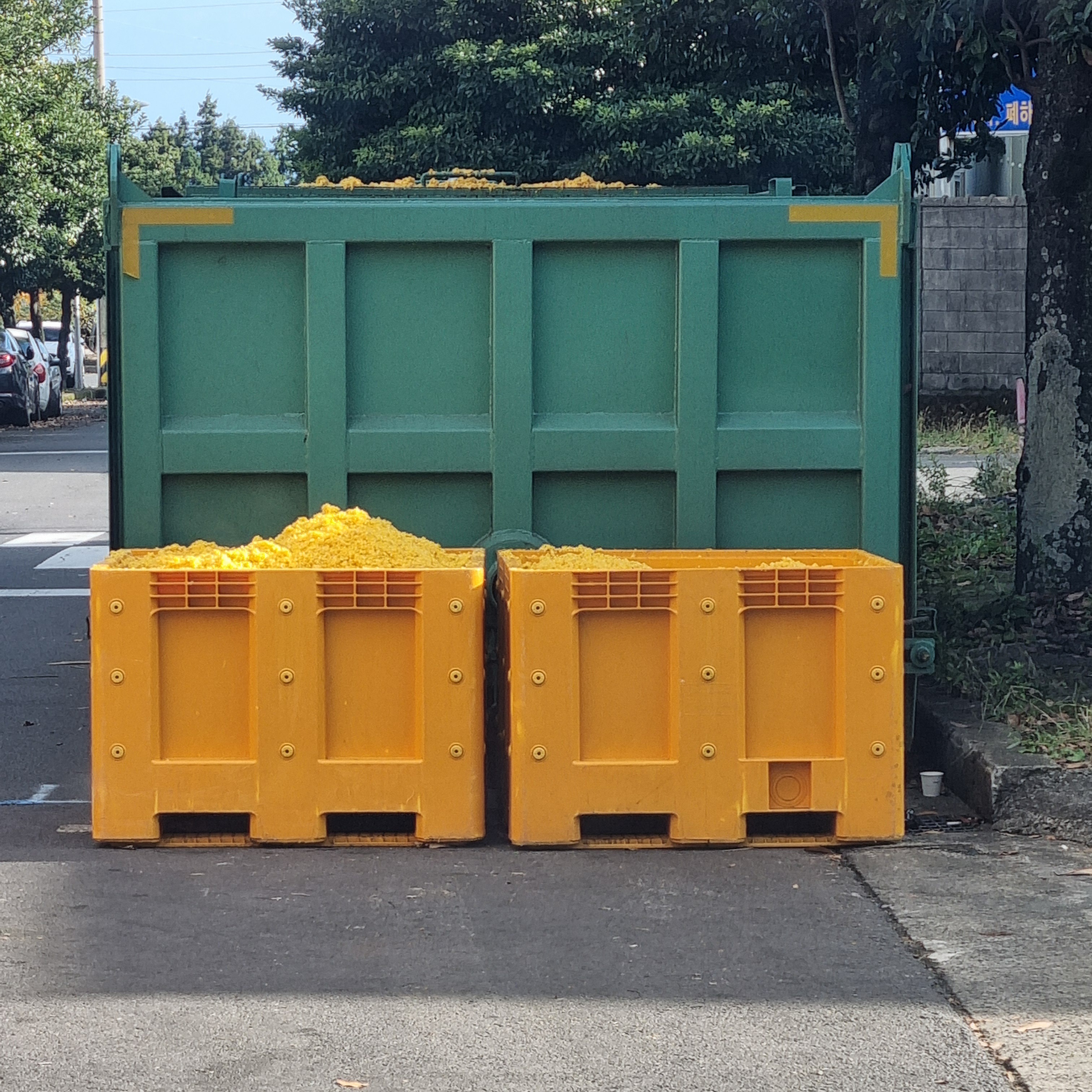 济州柑橘皮升级再造原料